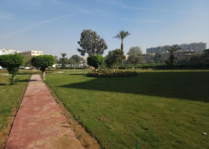 Maadi Oasis